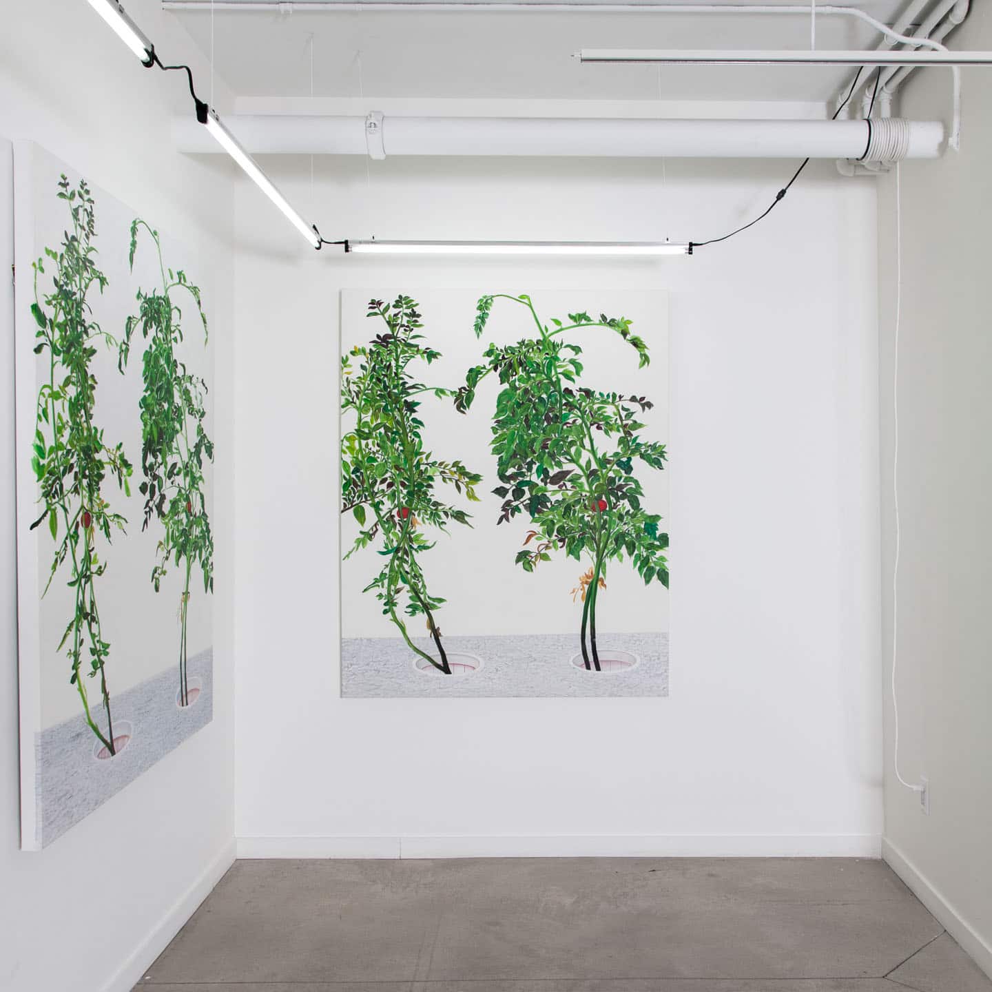 Alex Fischer, VII 陈山 Chen Shan, 2015,  60×48  oil on canvas installed in 1, 7 and 6000, O'Born Contemporary